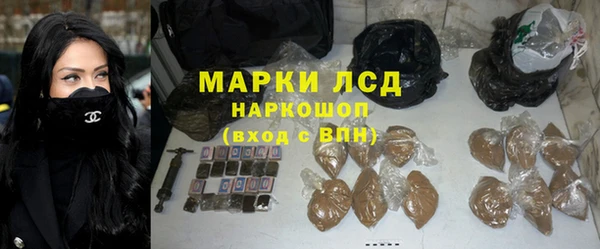 стаф Алзамай