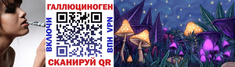 купить   Клинцы  Галлюциногенные грибы GOLDEN TEACHER 
