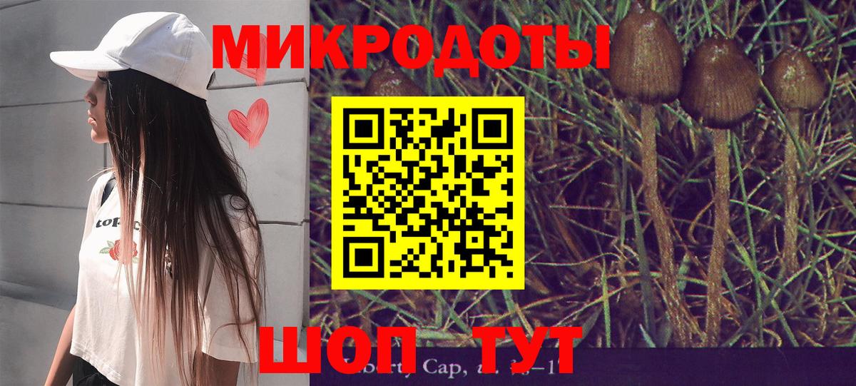 Галлюциногенные грибы Psilocybe  Вход с VPN  Клинцы 