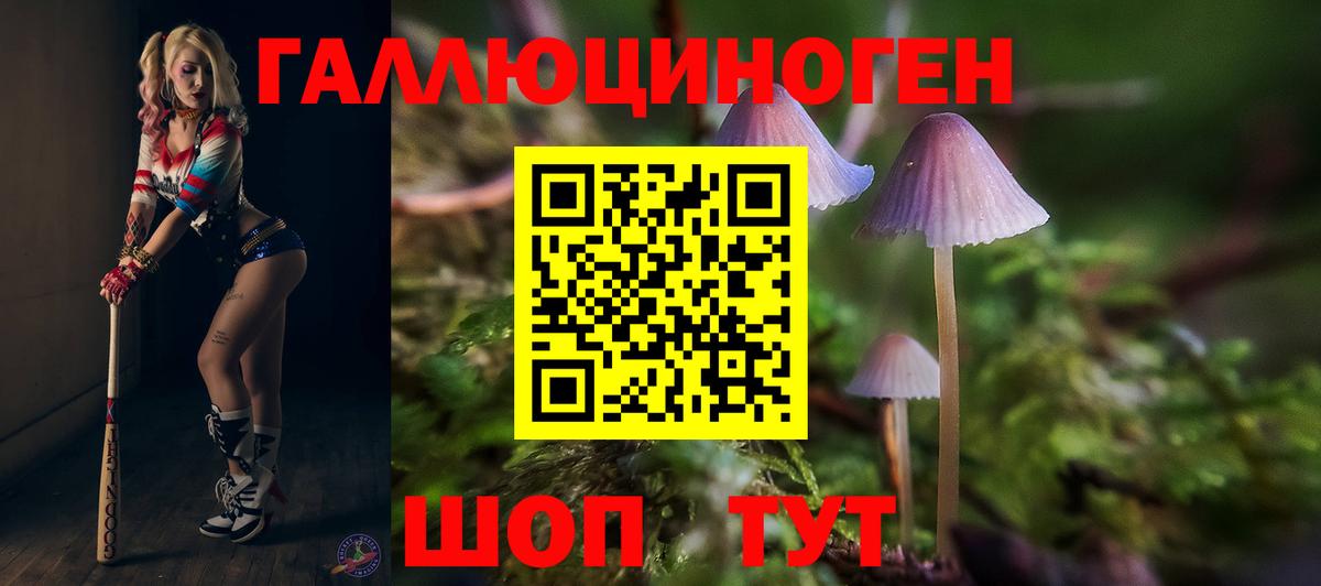 Псилоцибиновые грибы Cubensis Клинцы